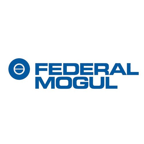 Federal Mogul